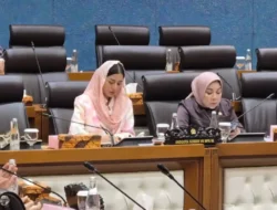 Novita Hardini Kritik PPN Ganda, Minta Pembenahan Industri Film Nasional