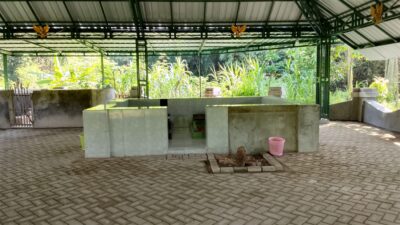 Jejak Sejarah di Desa Padangan: Makam Para Tokoh Leluhur yang Dihormati Masyarakat