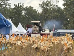 Panen Raya Jagung Serentak Kuartal II Tahun 2026 : Kolaborasi Nasional Dipimpin Polri dan Dihadiri Presiden RI