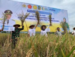 Ketua Komisi VI DPR RI Hadiri Panen Raya di Tulungagung