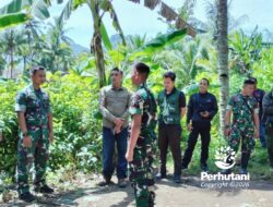 Perhutani dan Kodim Trenggalek Survei Kawasan Hutan Dongko untuk Rencana Batalyon TP dan Program Ketahanan Pangan