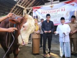 Wabup Syah Serahkan Bantuan Sapi Kurban Presiden Prabowo untuk Warga Trenggalek