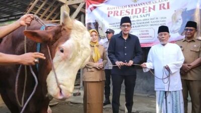 Wabup Syah Serahkan Bantuan Sapi Kurban Presiden Prabowo untuk Warga Trenggalek