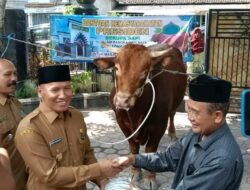 Plt Bupati Ahmad Baharudin Serahkan Sapi Kurban Presiden Prabowo untuk Warga Boyolangu Tulungagung