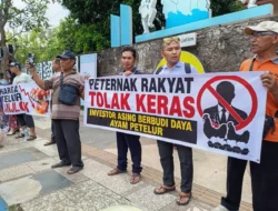 Peternak Telur Tulungagung Tolak Investor Asing, Ribuan Telur Dibagikan Gratis di Titik Nol Kota