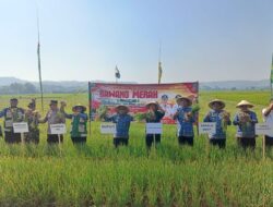 Panen Bawang Merah di Panggungrejo, Pemkab Blitar Tegaskan Komitmen Perkuat Sektor Pertanian