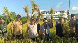 Hadiri Tradisi Methik Padi di Kalidawir, Plt Bupati Tulungagung Perkuat Dukungan Ketahanan Pangan