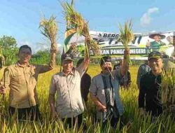 Hadiri Tradisi Methik Padi di Kalidawir, Plt Bupati Tulungagung Perkuat Dukungan Ketahanan Pangan