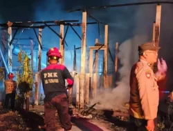 Kandang Ayam Petelur di Kedungwaru Tulungagung Ludes Terbakar, Kerugian Ditaksir Rp400 Juta
